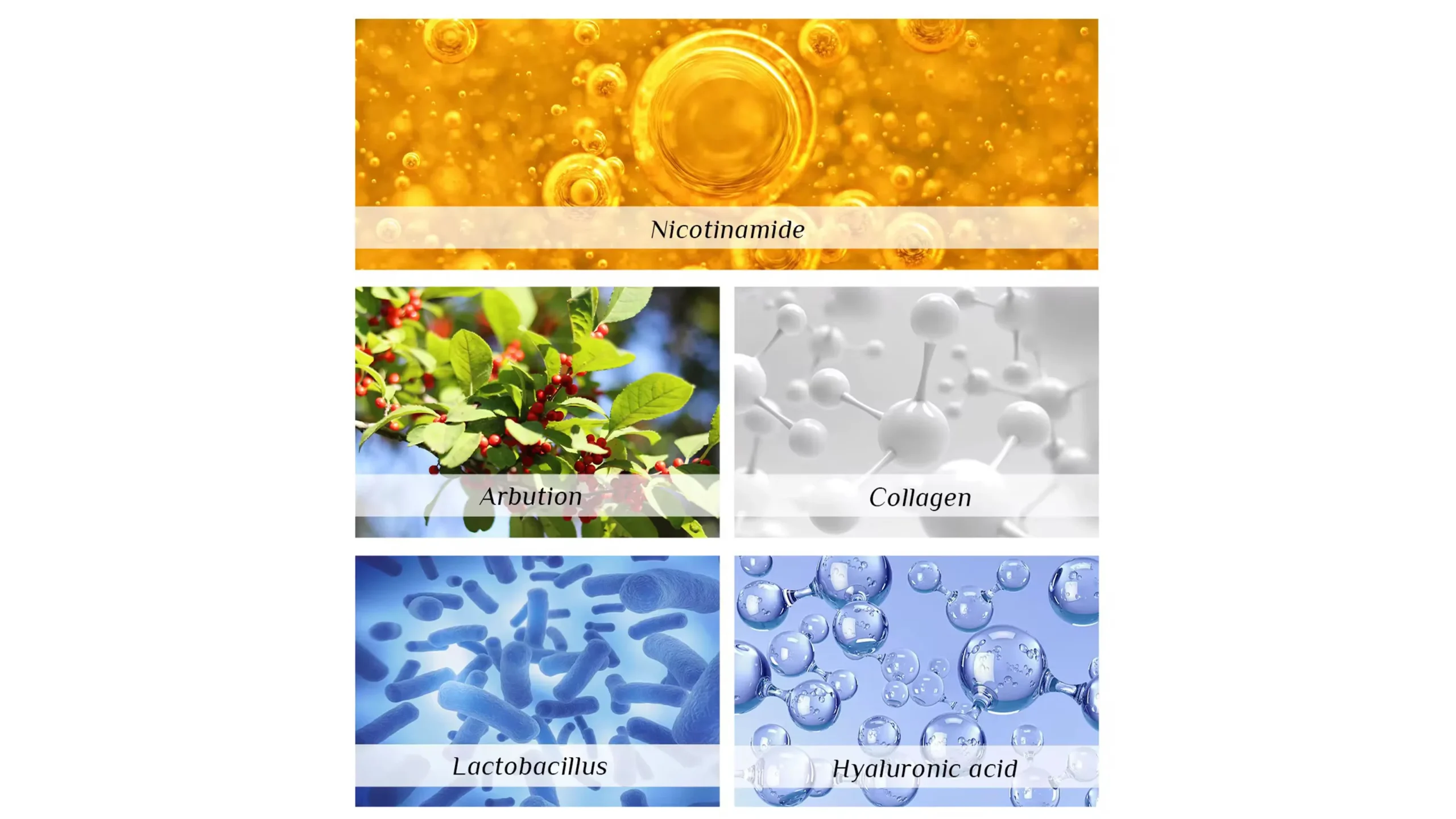 Miurous Body Scrub (Available in 4 Types) - Image 4